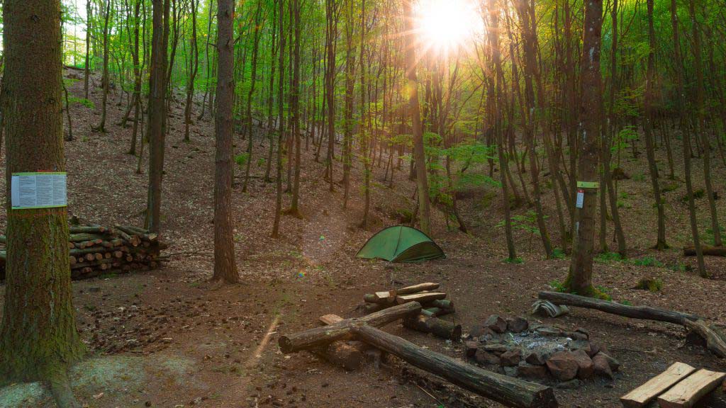 Trekking Pfalz - Blog mit Plätzen, Routen und schönen Spots 3